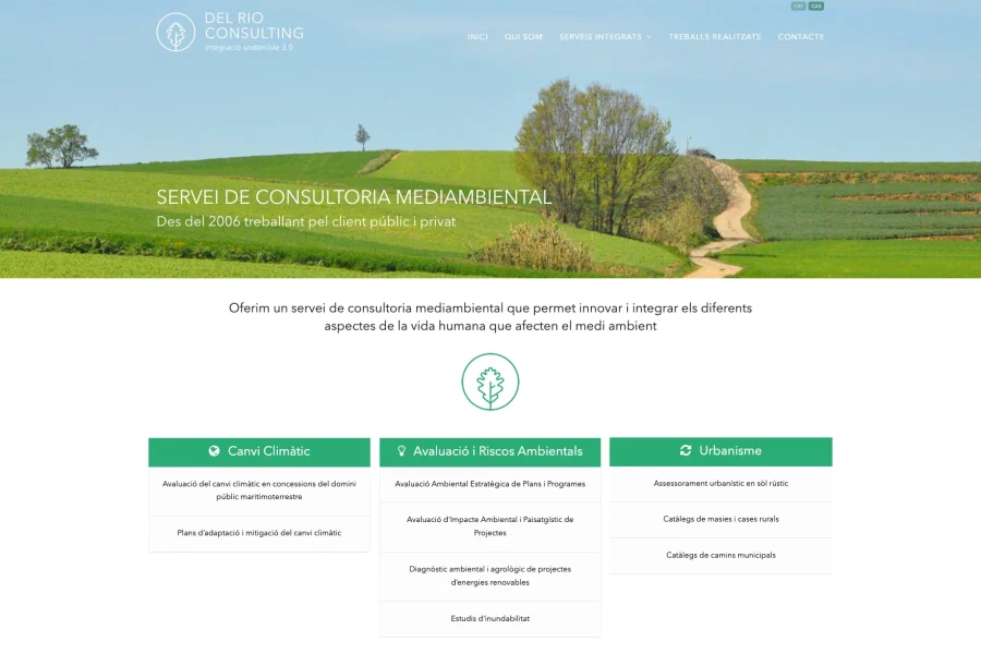 Del Rio Consulting